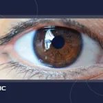 همه چیز درباره مردمک چشم